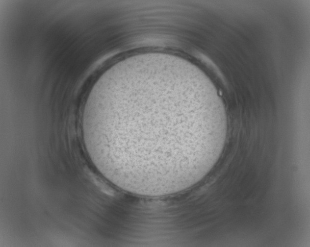 X0000081401019200702090058