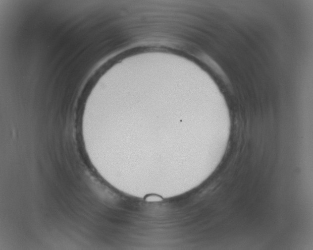 X0000081401020200702090058