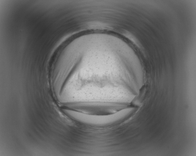 X0000081401022200702090058