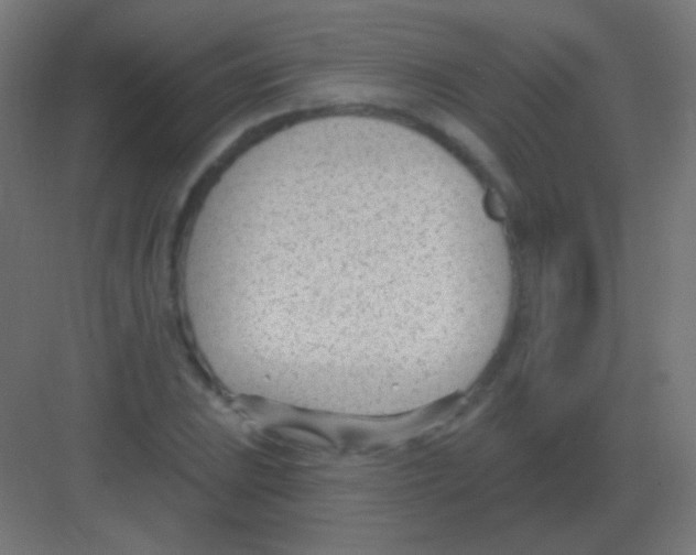 X0000081401023200702090058