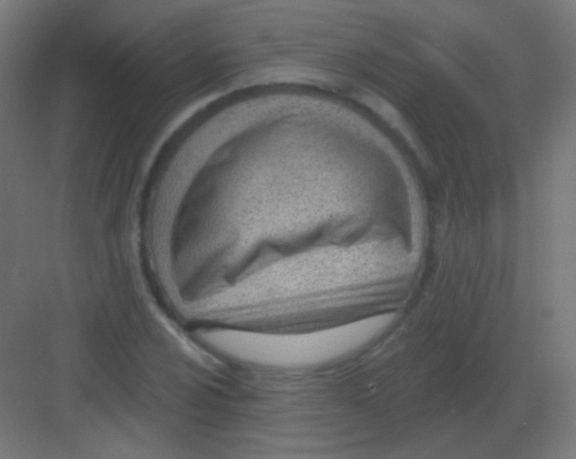 X0000081401024200702090058