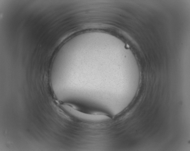 X0000081401025200702090058