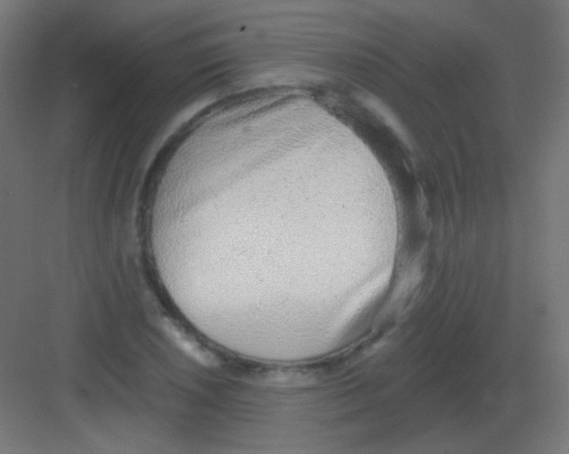 X0000081401026200702090058