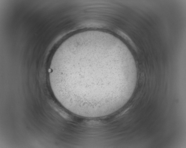 X0000081401027200702090058