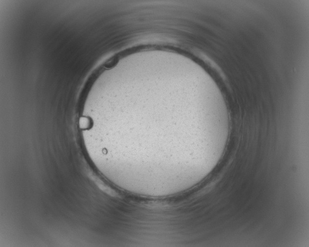 X0000081401029200702090058