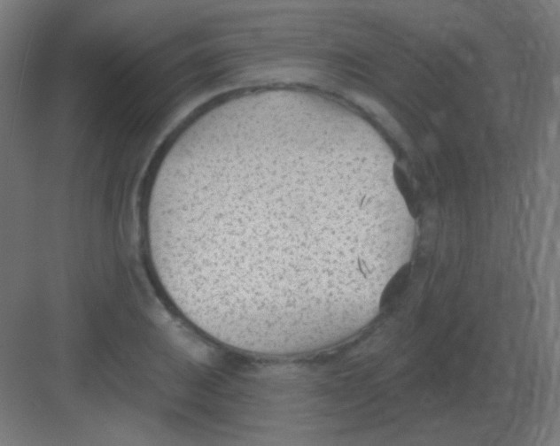 X0000081401031200702090058