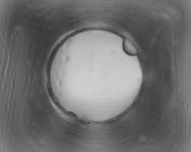 X0000081401032200702090058