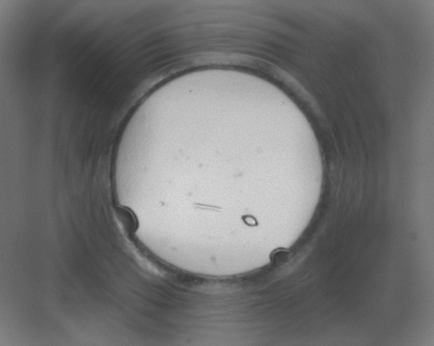 X0000081401033200702090058