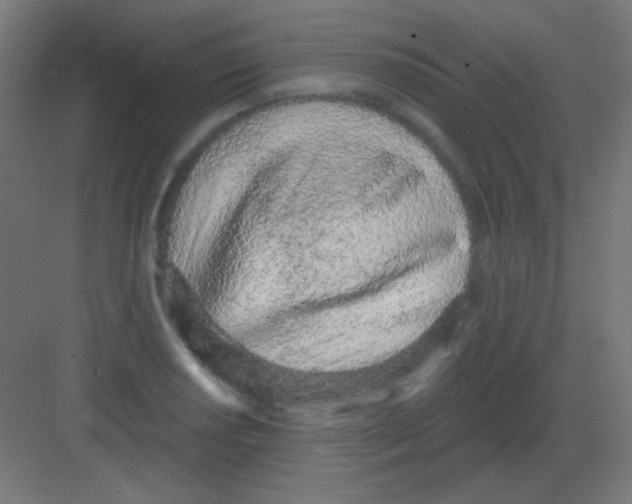 X0000081401034200702090058