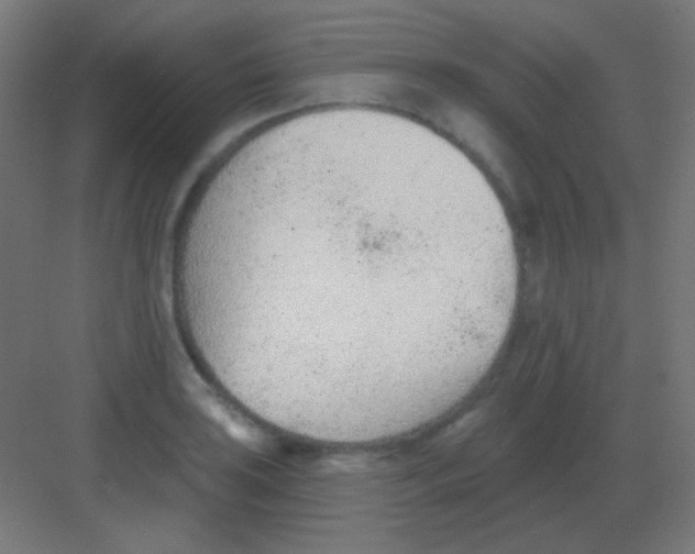 X0000081401035200702090058