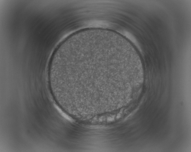 X0000081401037200702090058