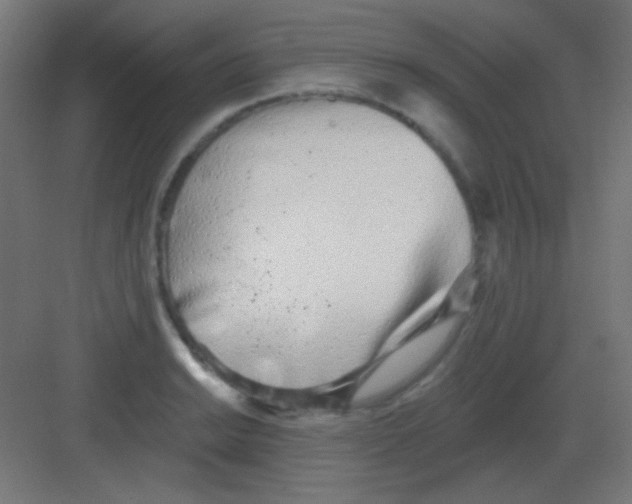 X0000081401038200702090058