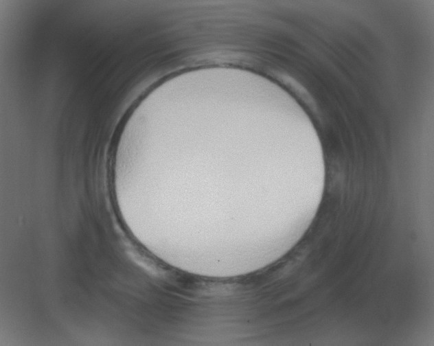 X0000081401039200702090058