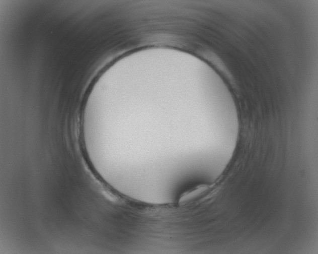 X0000081401040200702090058