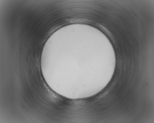 X0000081401041200702090058