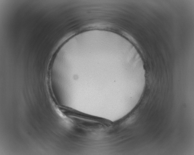 X0000081401042200702090058