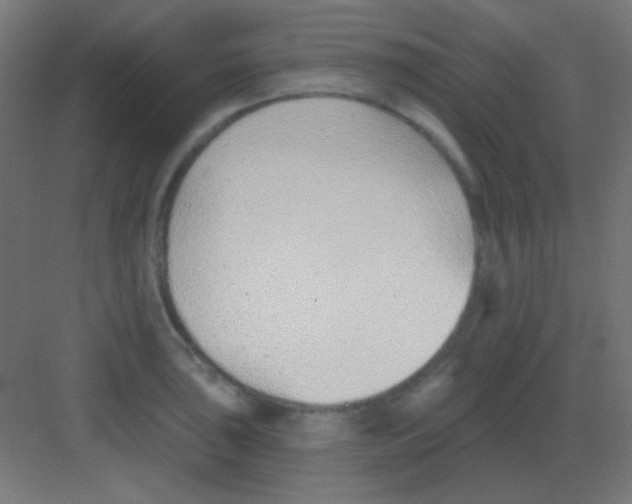 X0000081401043200702090058