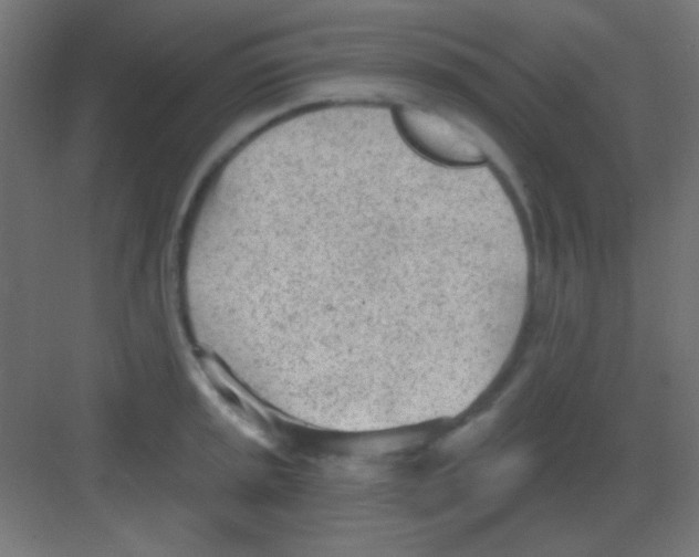 X0000081401045200702090058