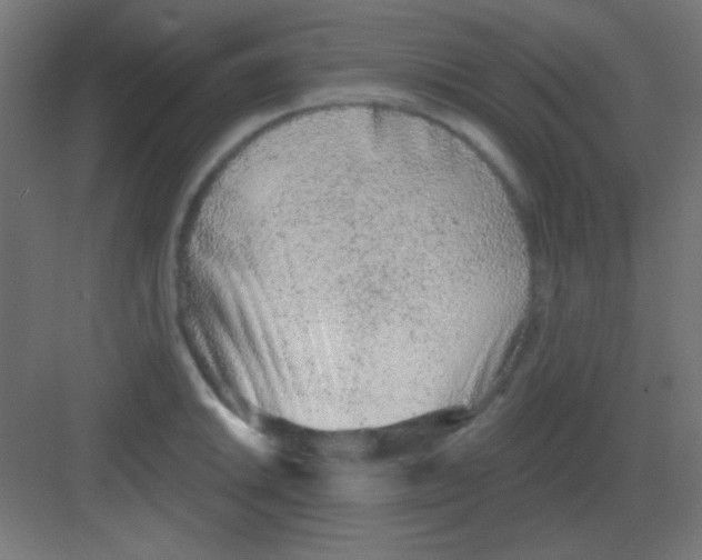 X0000081401046200702090058