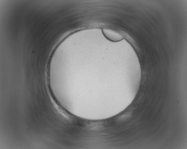 X0000081401047200702090058