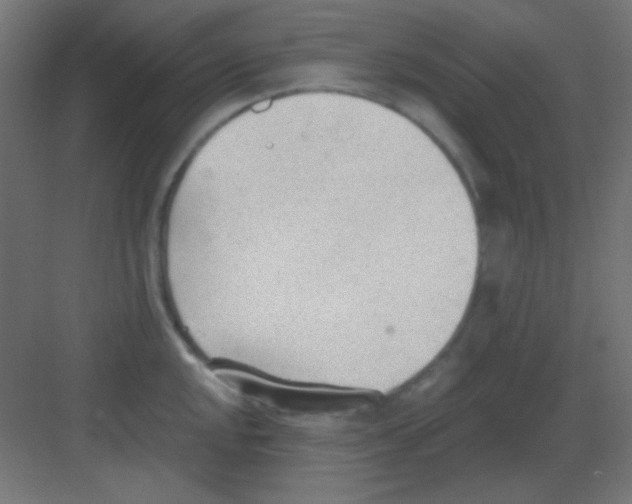 X0000081401048200702090058