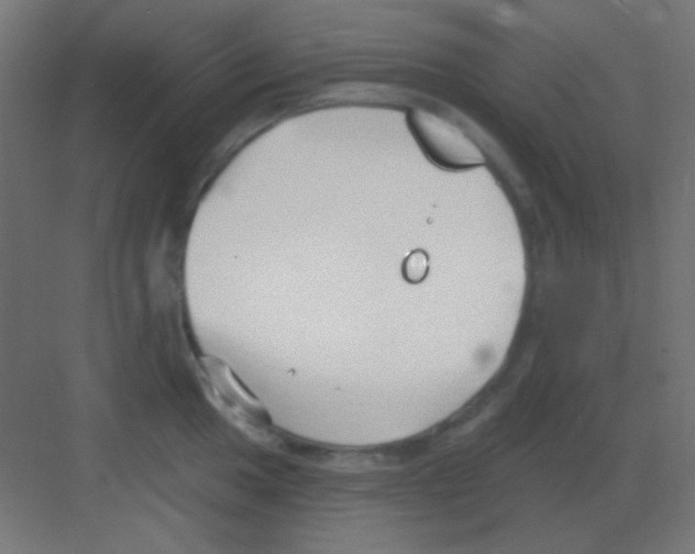 X0000081401049200702090058