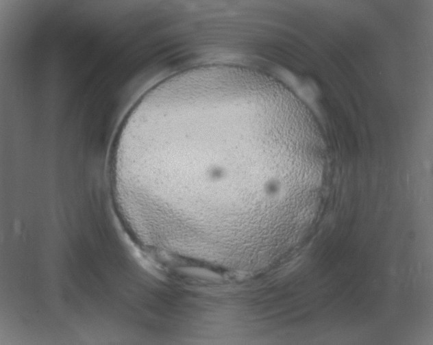 X0000081401050200702090058