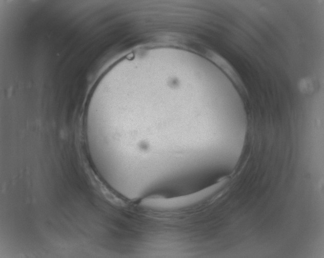 X0000081401052200702090059