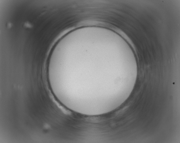 X0000081401053200702090059