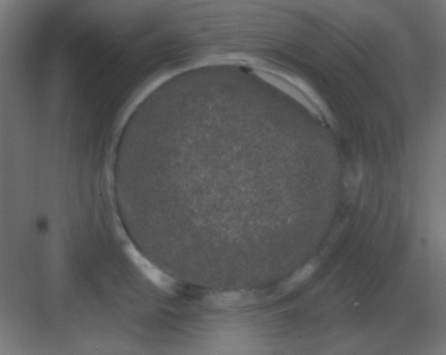 X0000081401054200702090059