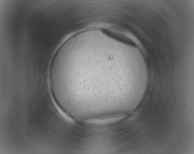 X0000081401055200702090059