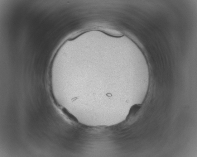 X0000081401056200702090059