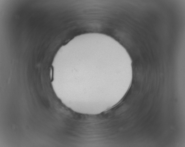 X0000081401057200702090058