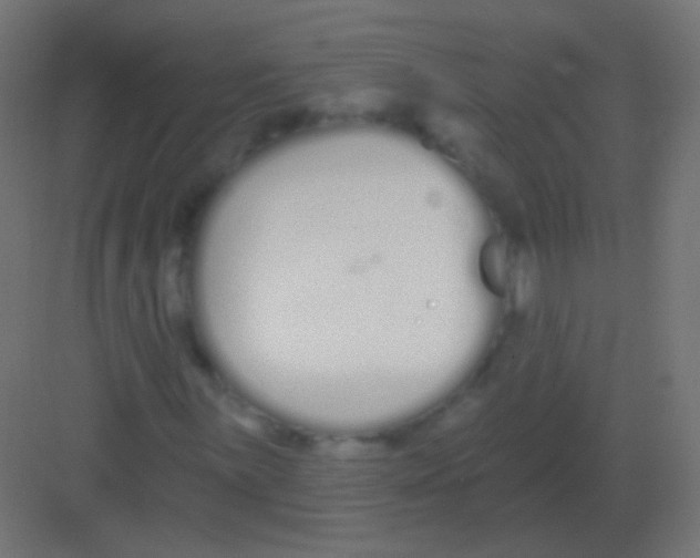 X0000081401059200702090058