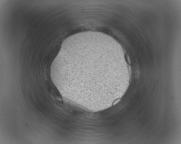 X0000081401060200702090058