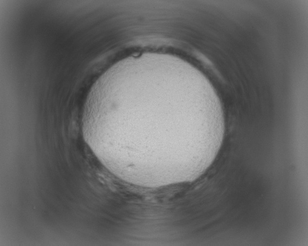 X0000081401063200702090058