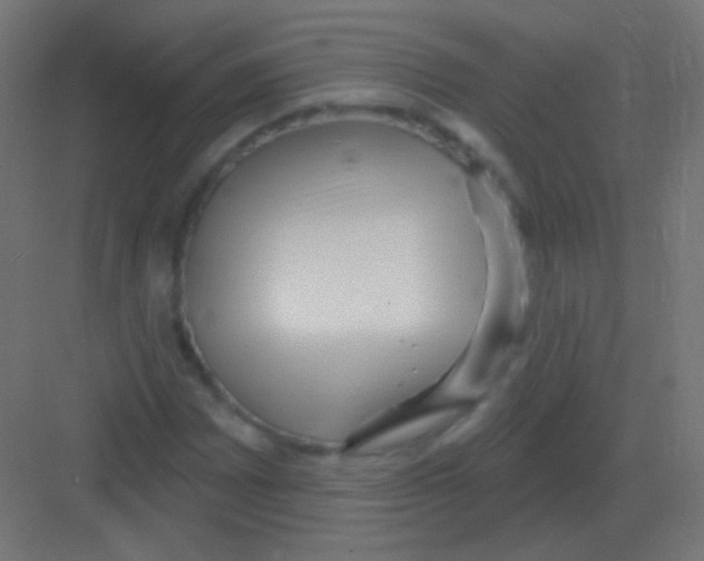 X0000081401065200702090058