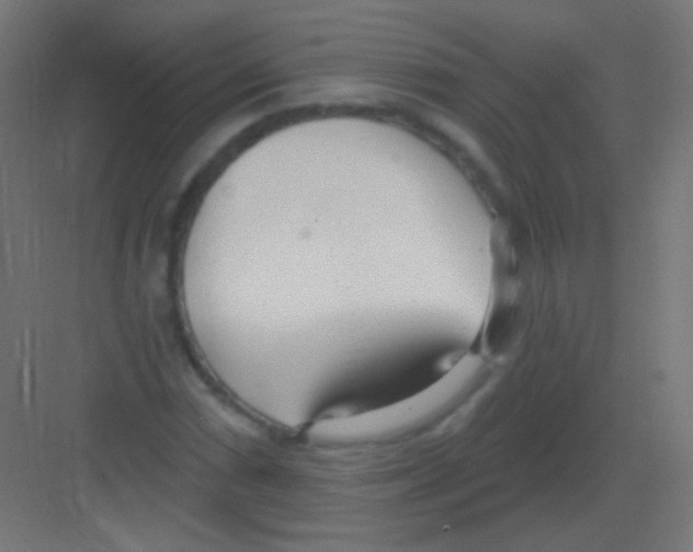 X0000081401066200702090058