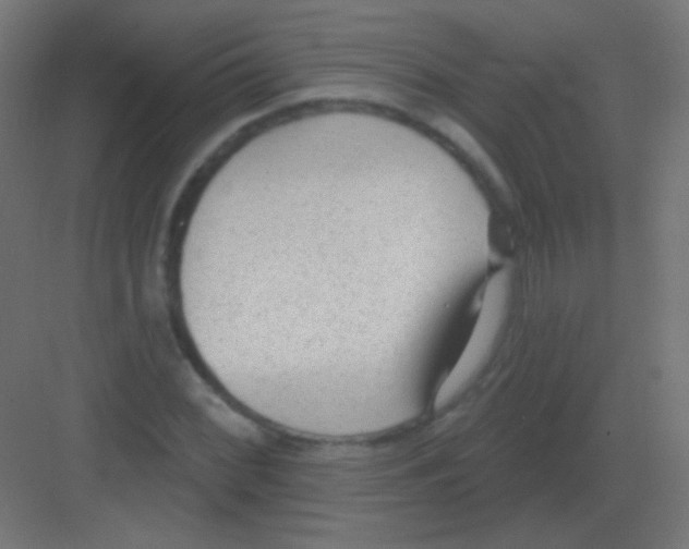 X0000081401068200702090058