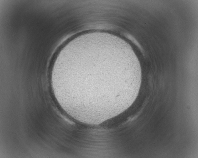 X0000081401071200702090058