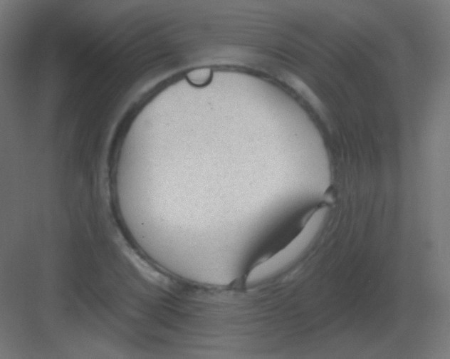 X0000081401072200702090058