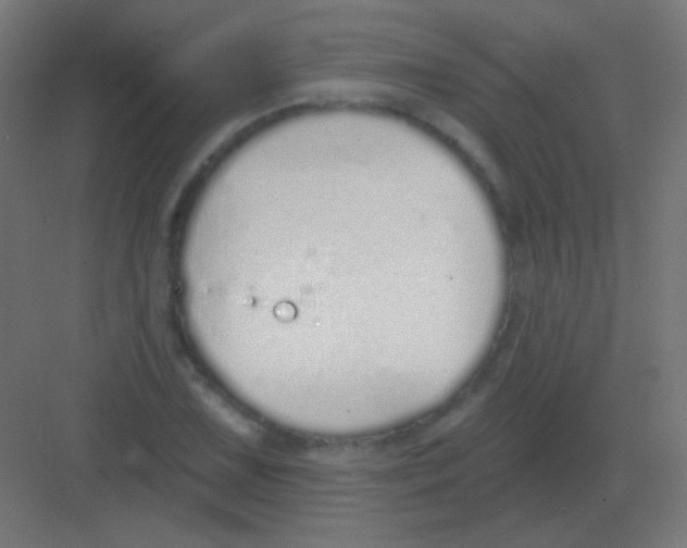 X0000081401075200702090057