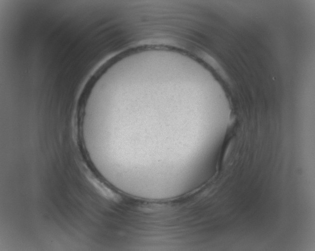 X0000081401076200702090057