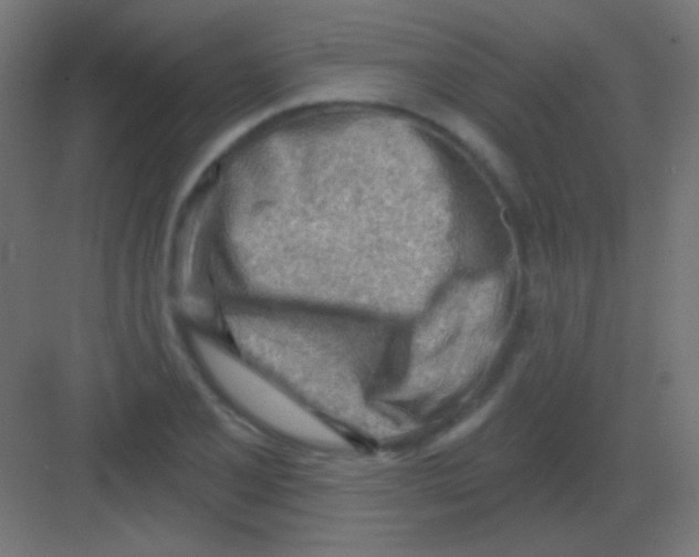 X0000081401077200702090057