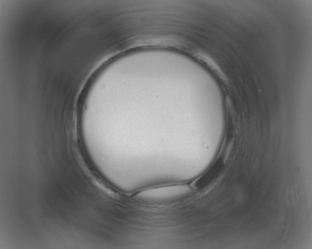 X0000081401079200702090057