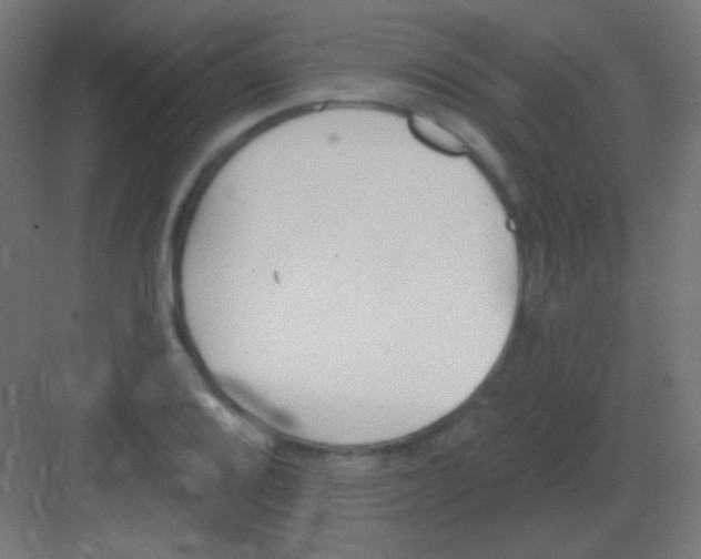 X0000081401080200702090057