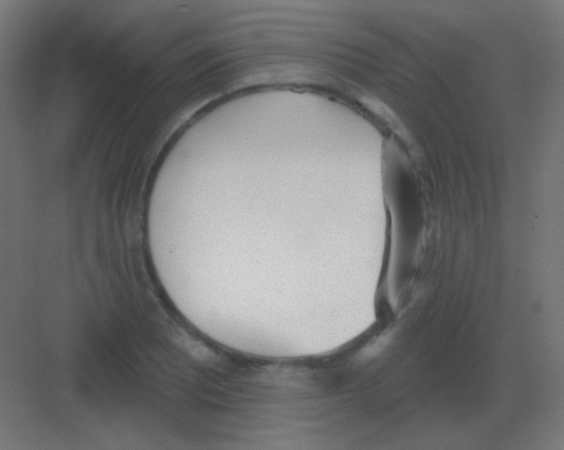 X0000081401081200702090057