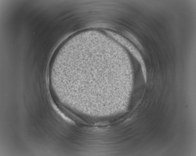 X0000081401084200702090057