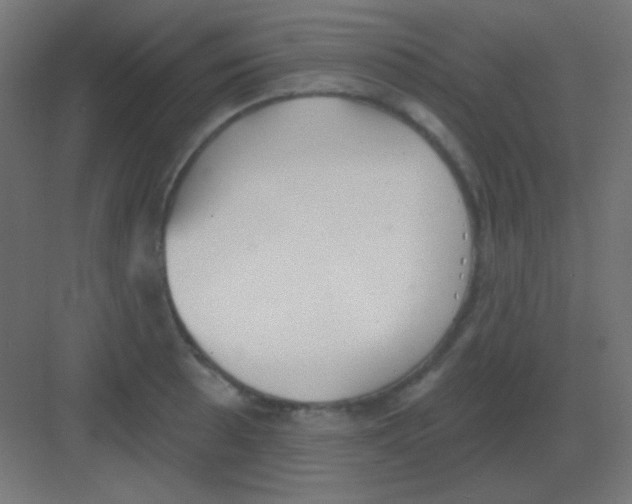 X0000081401089200702090057