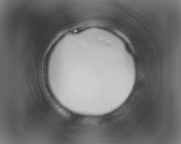 X0000081401091200702090057